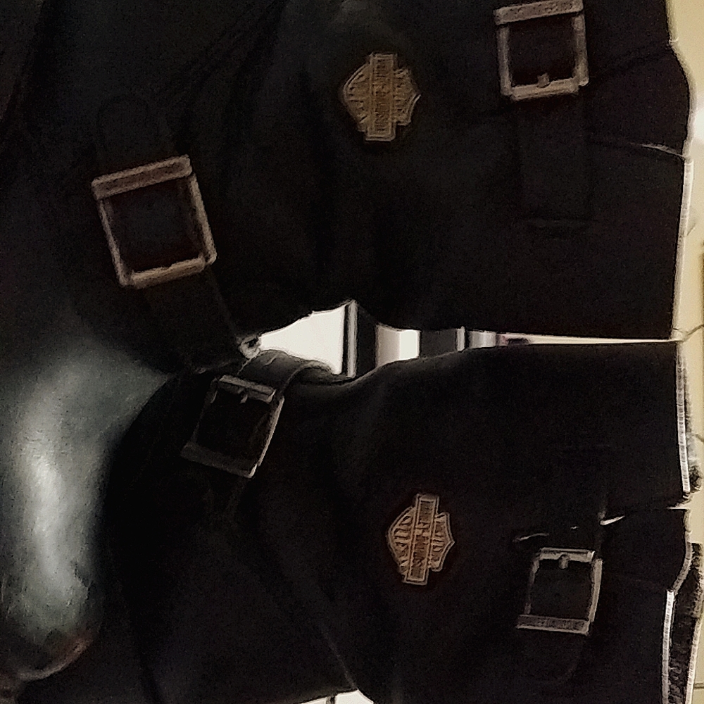 Harley Davidson boots size 8 women and Leathery black lightly worn